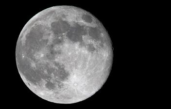 Фокусное расстояние: 600 мм; выдержка 1/1600; диафрагма f/6.3; ISO 3200